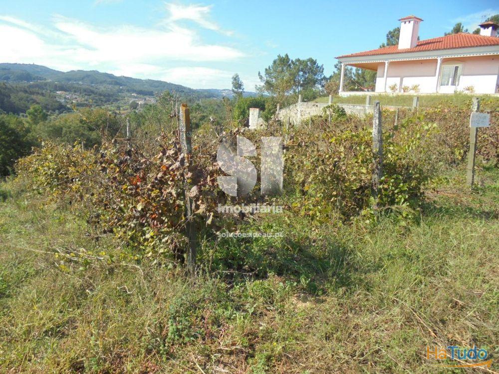 Terreno - Vila Nova de Poiares Terreno - Vila Nova de Poiares