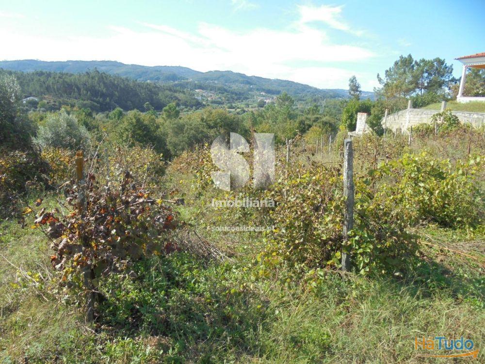 Terreno - Vila Nova de Poiares Terreno - Vila Nova de Poiares