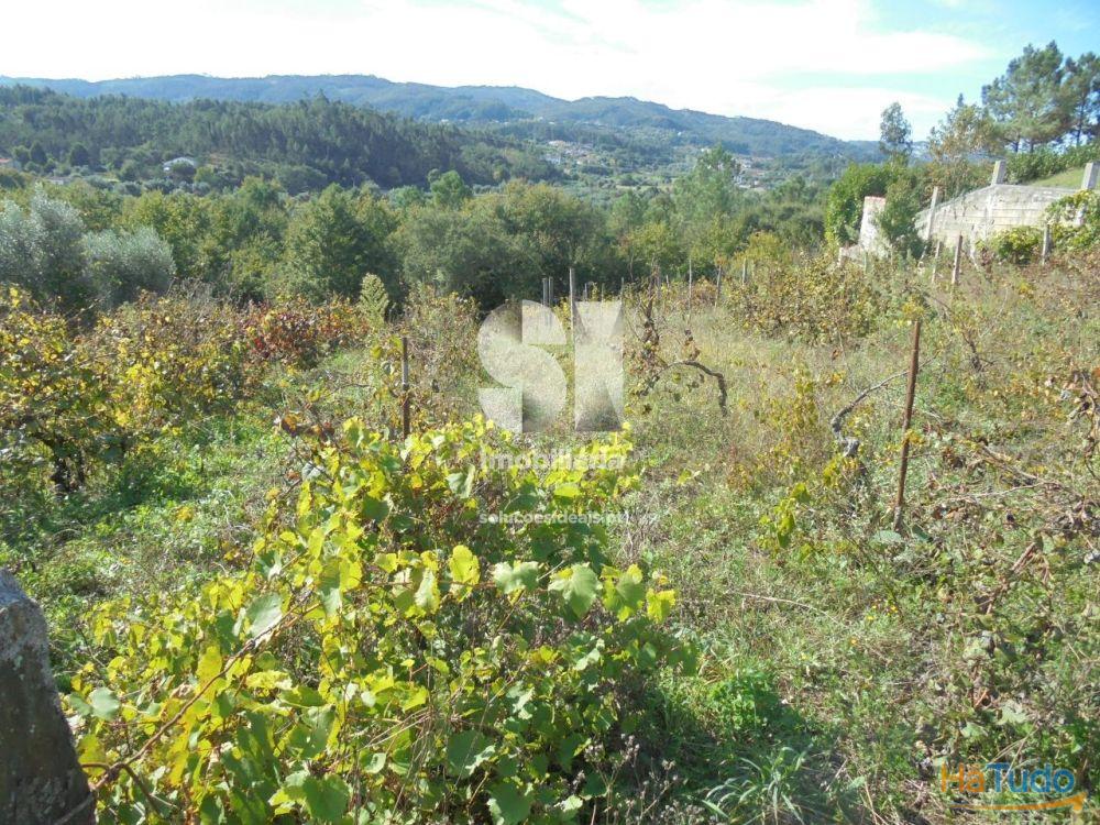 Terreno - Vila Nova de Poiares Terreno - Vila Nova de Poiares