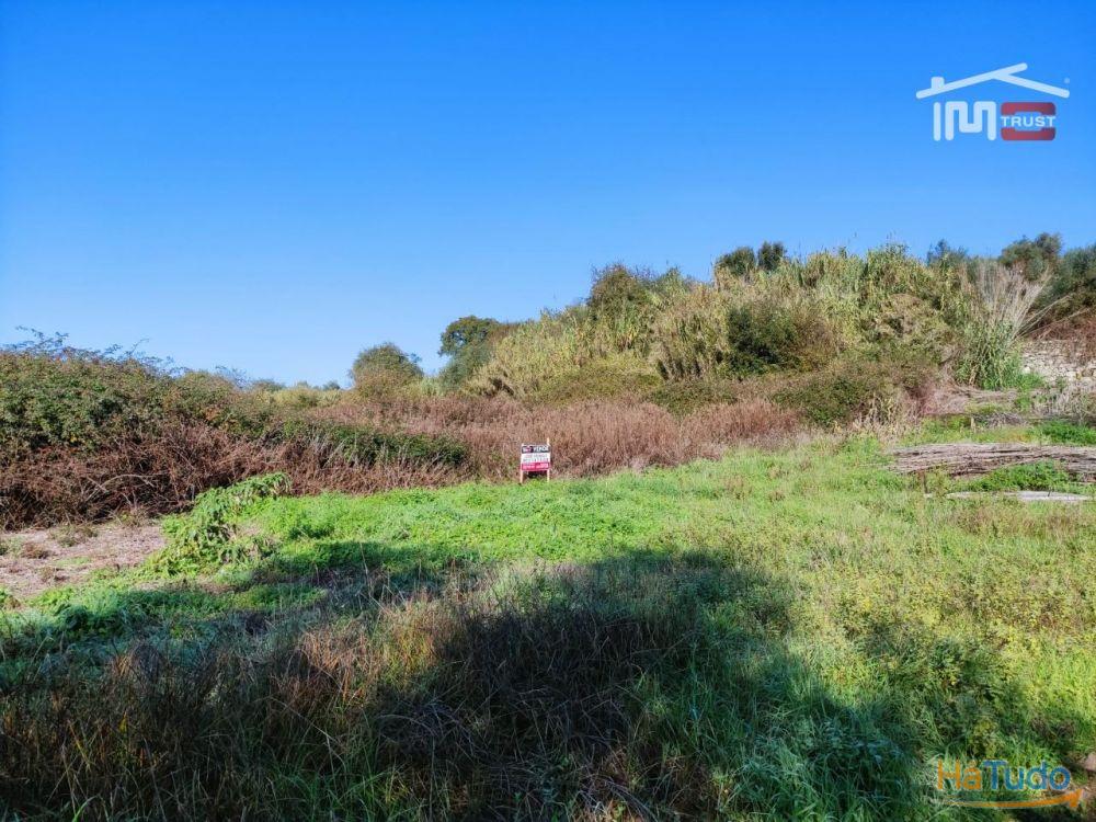 Terreno rústico, declive plano. Bem localizado. Terreno rústico, declive plano. Bem localizado.