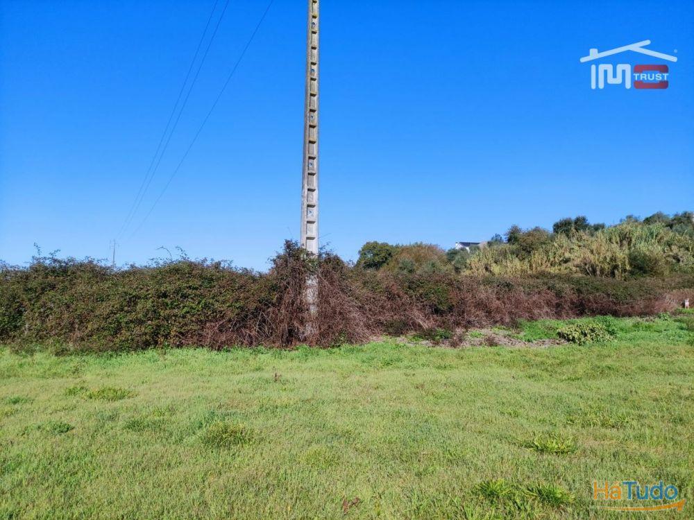 Terreno rústico, declive plano. Bem localizado. Terreno rústico, declive plano. Bem localizado.