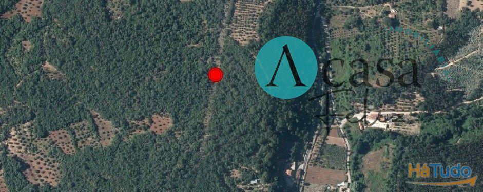 Terreno rústico Terreno rústico