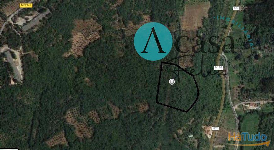 Terreno rústico Terreno rústico