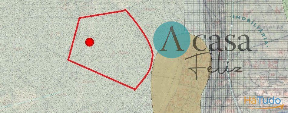 Terreno rústico Terreno rústico