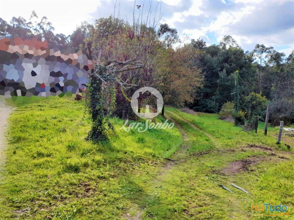 Moradia M5 c/3.100m2 �rea total em Cruz, VNF