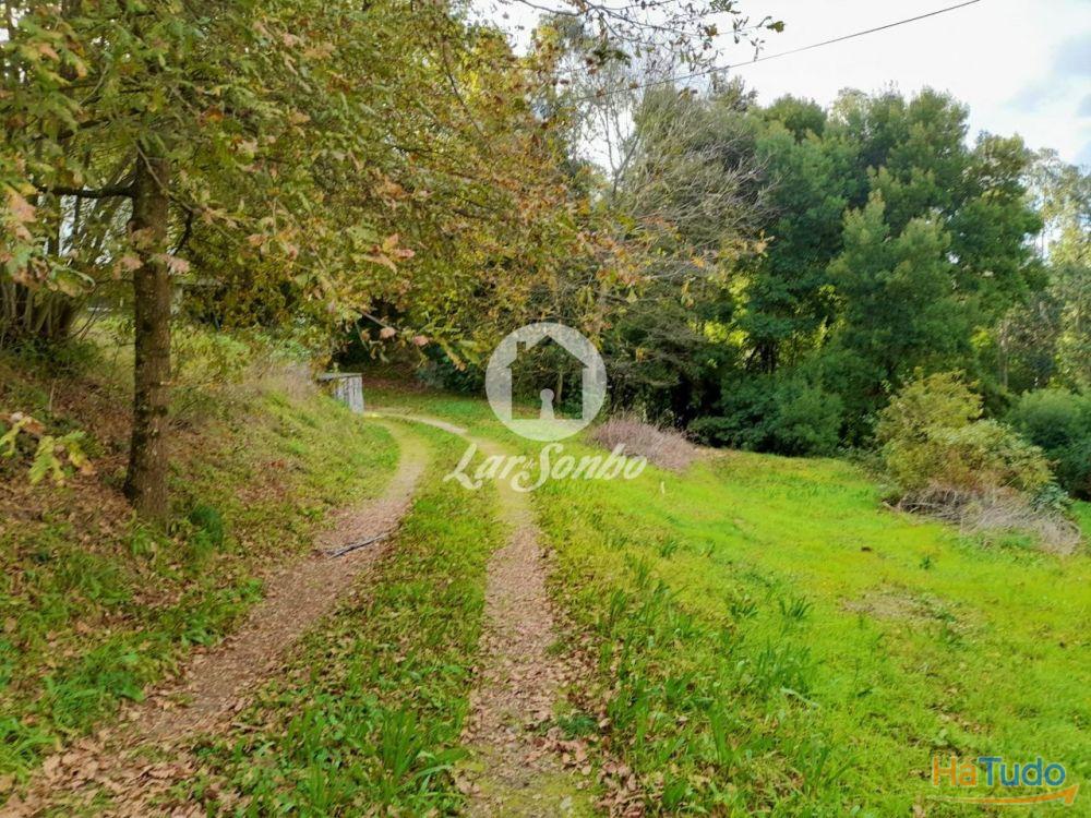 Moradia M5 c/3.100m2 �rea total em Cruz, VNF