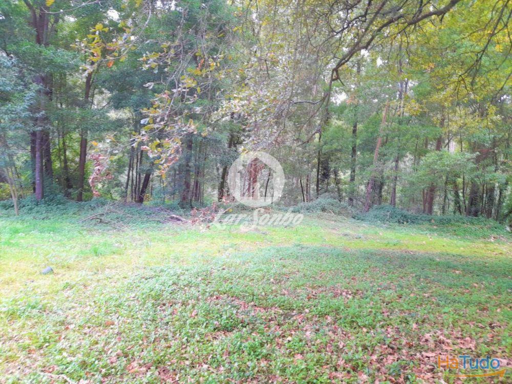 Moradia M5 c/3.100m2 �rea total em Cruz, VNF