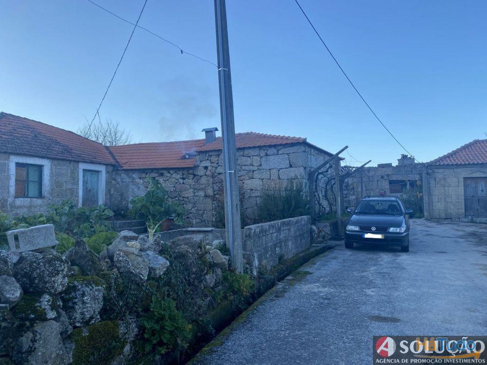 Quintinha com Casa - Próximo ao Douro Quintinha com Casa - Próximo ao Douro