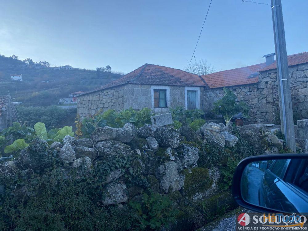 Quintinha com Casa - Próximo ao Douro Quintinha com Casa - Próximo ao Douro