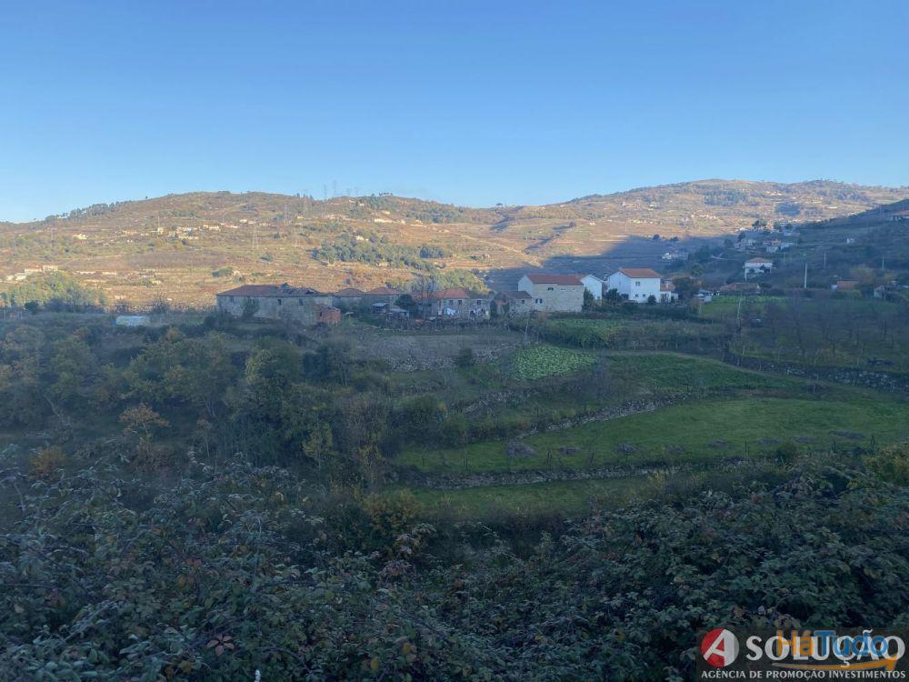 Quintinha com Casa - Próximo ao Douro Quintinha com Casa - Próximo ao Douro