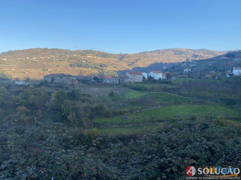Quintinha com Casa - Próximo ao Douro Quintinha com Casa - Próximo ao Douro