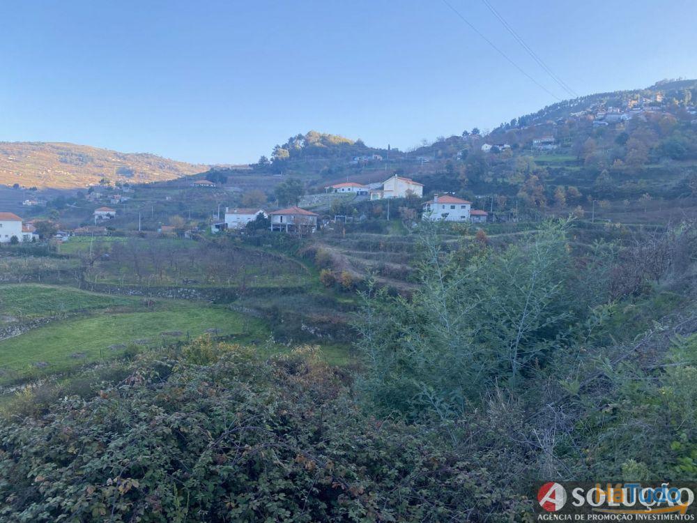 Quintinha com Casa - Próximo ao Douro Quintinha com Casa - Próximo ao Douro