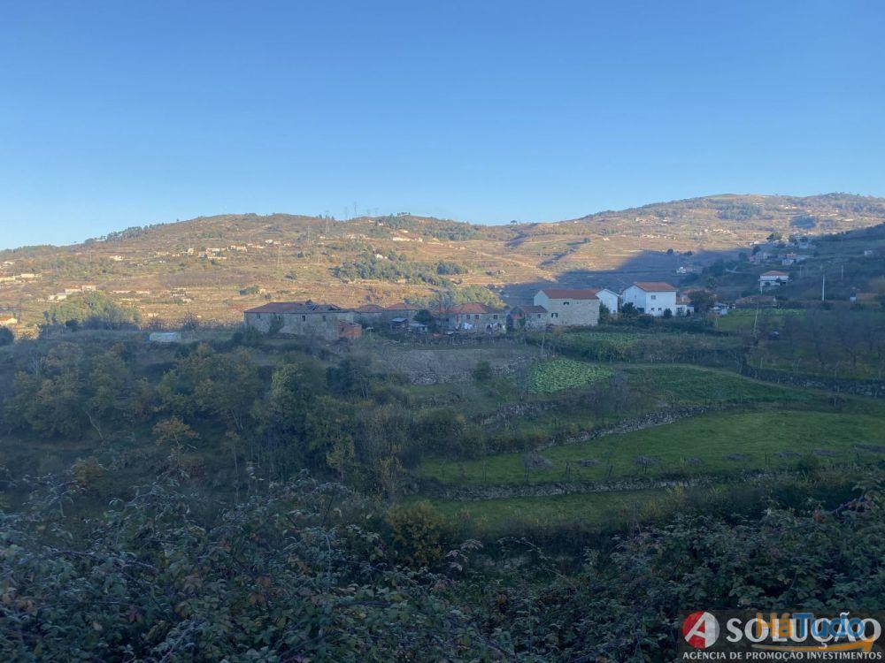 Quintinha com Casa - Próximo ao Douro Quintinha com Casa - Próximo ao Douro
