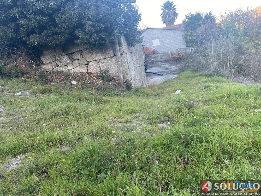 Quintinha com Casa - Próximo ao Douro Quintinha com Casa - Próximo ao Douro