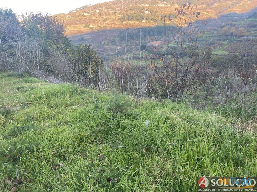 Quintinha com Casa - Próximo ao Douro Quintinha com Casa - Próximo ao Douro