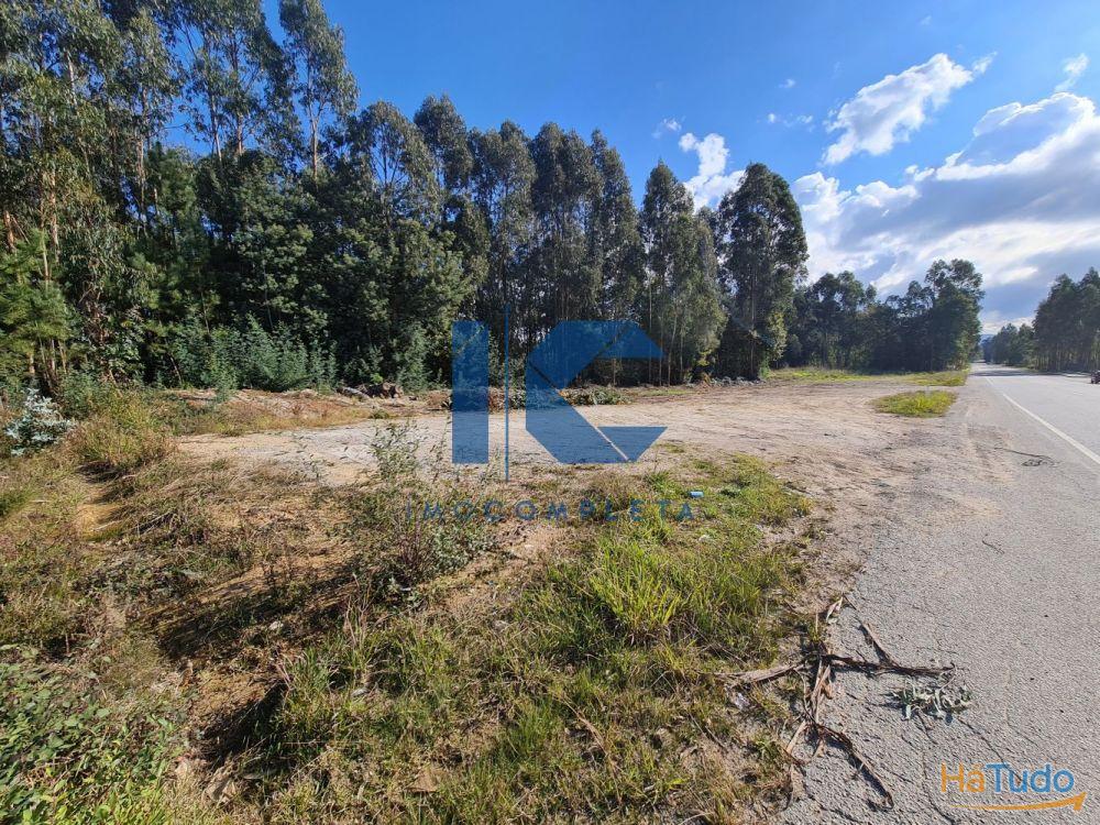 Terrenos para venda em Alvarim - Águeda Terrenos para venda em Alvarim - Águeda