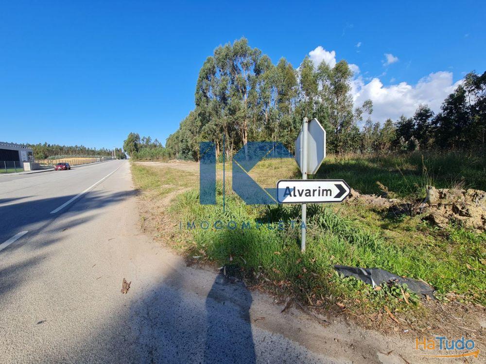 Terrenos para venda em Alvarim - Águeda Terrenos para venda em Alvarim - Águeda
