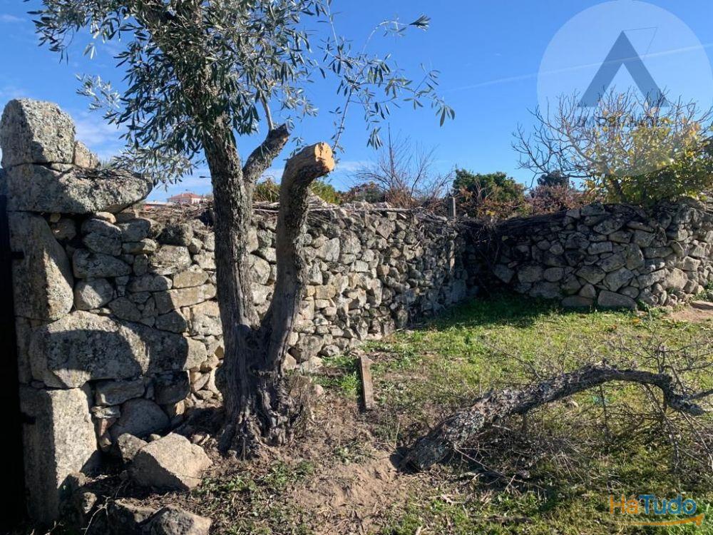 Terreno em Alcains com grandes �reas