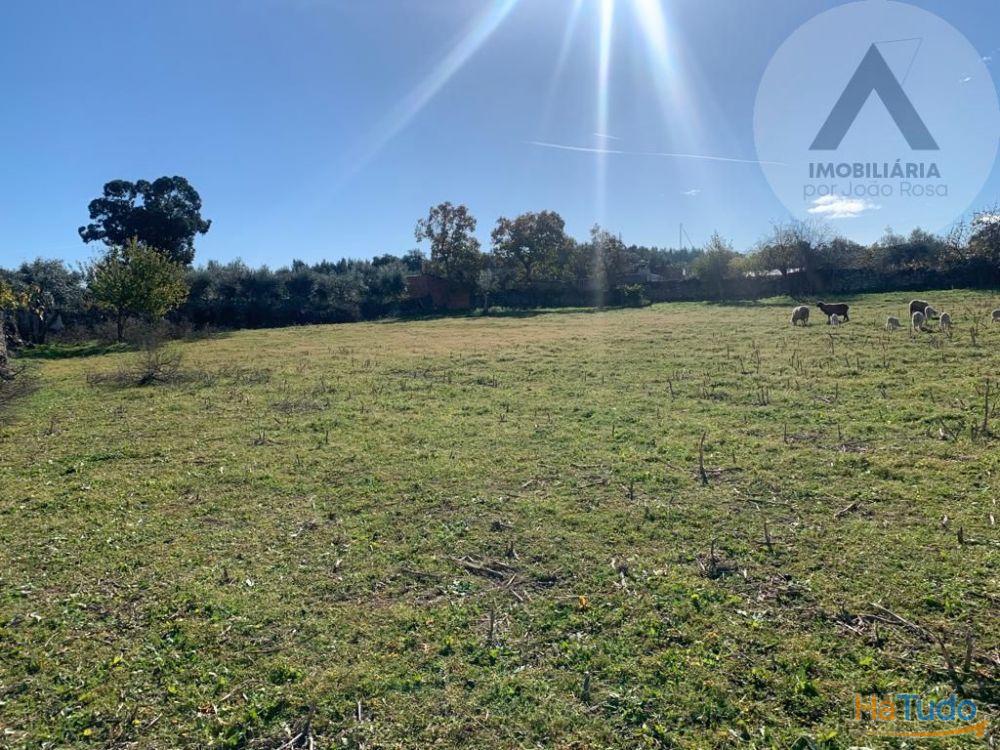 Terreno em Alcains com grandes �reas