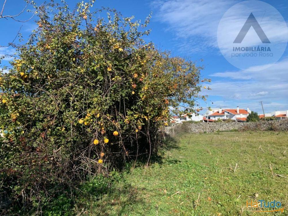 Terreno em Alcains com grandes �reas