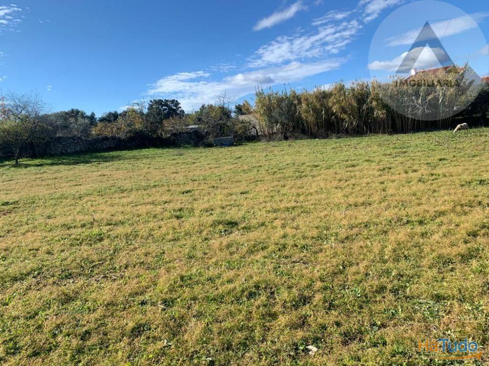 Terreno em Alcains com grandes �reas