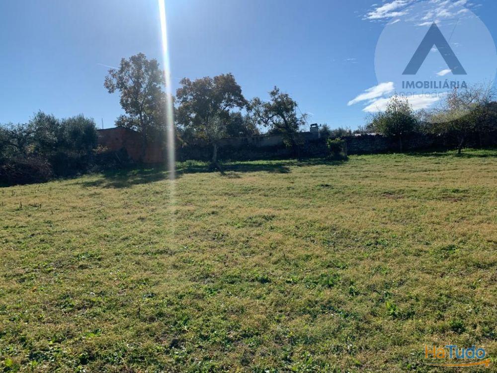 Terreno em Alcains com grandes �reas