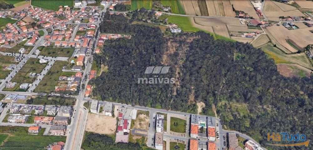 Terreno em Labruge - Vila do Conde