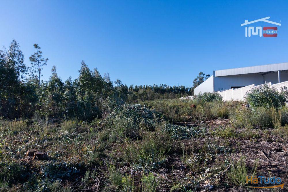 TERRENO COM AREA DE 6268 M2 ZONA INDUSTRIAL DE BOLEIROS/MAXIEIRA JUNTO A1 LOCALIZA��O PREVILIGIADA