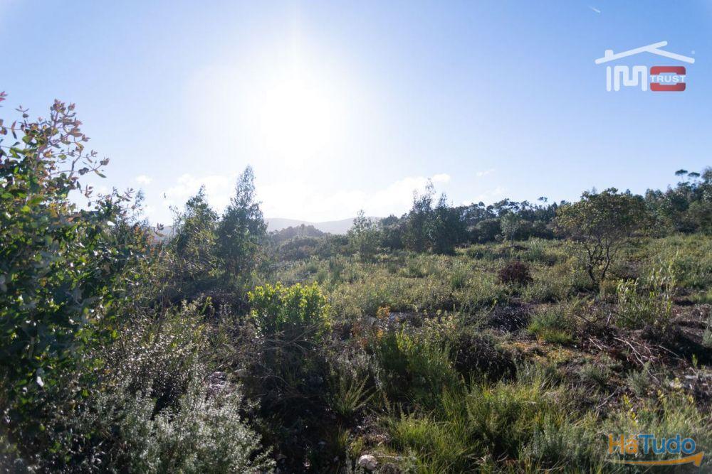 TERRENO COM AREA DE 6268 M2 ZONA INDUSTRIAL DE BOLEIROS/MAXIEIRA JUNTO A1 LOCALIZA��O PREVILIGIADA