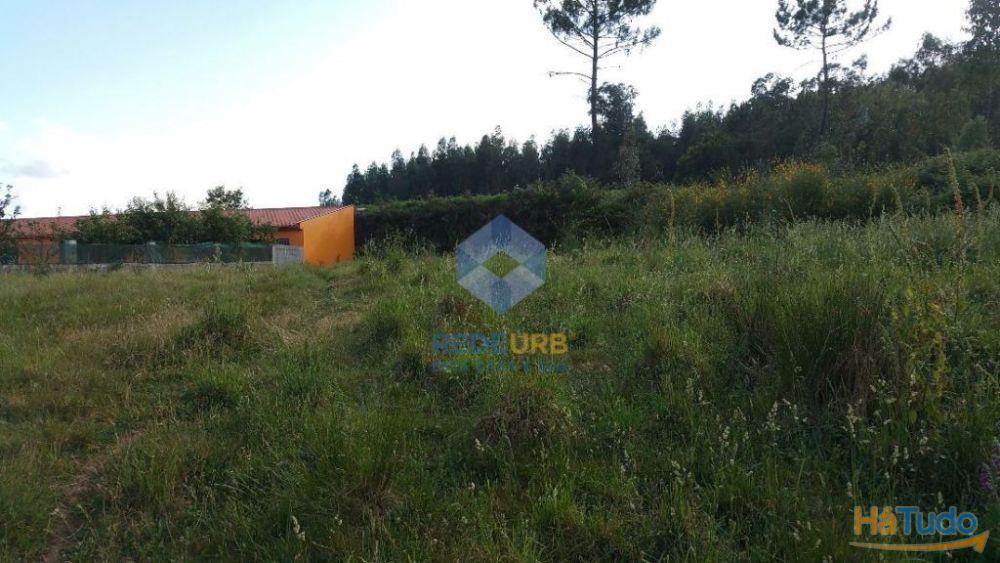 TERRENO - ESCARIZ SÃO MARTINHO - VILA VERDE TERRENO - ESCARIZ SÃO MARTINHO - VILA VERDE