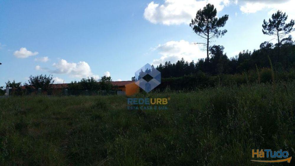 TERRENO - ESCARIZ SÃO MARTINHO - VILA VERDE TERRENO - ESCARIZ SÃO MARTINHO - VILA VERDE