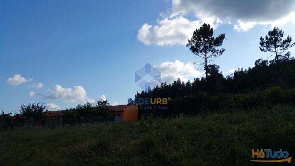 TERRENO - ESCARIZ SÃO MARTINHO - VILA VERDE TERRENO - ESCARIZ SÃO MARTINHO - VILA VERDE