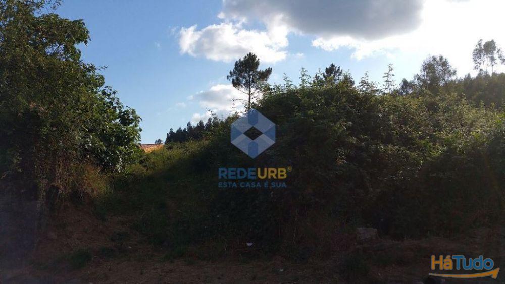 TERRENO - ESCARIZ SÃO MARTINHO - VILA VERDE TERRENO - ESCARIZ SÃO MARTINHO - VILA VERDE