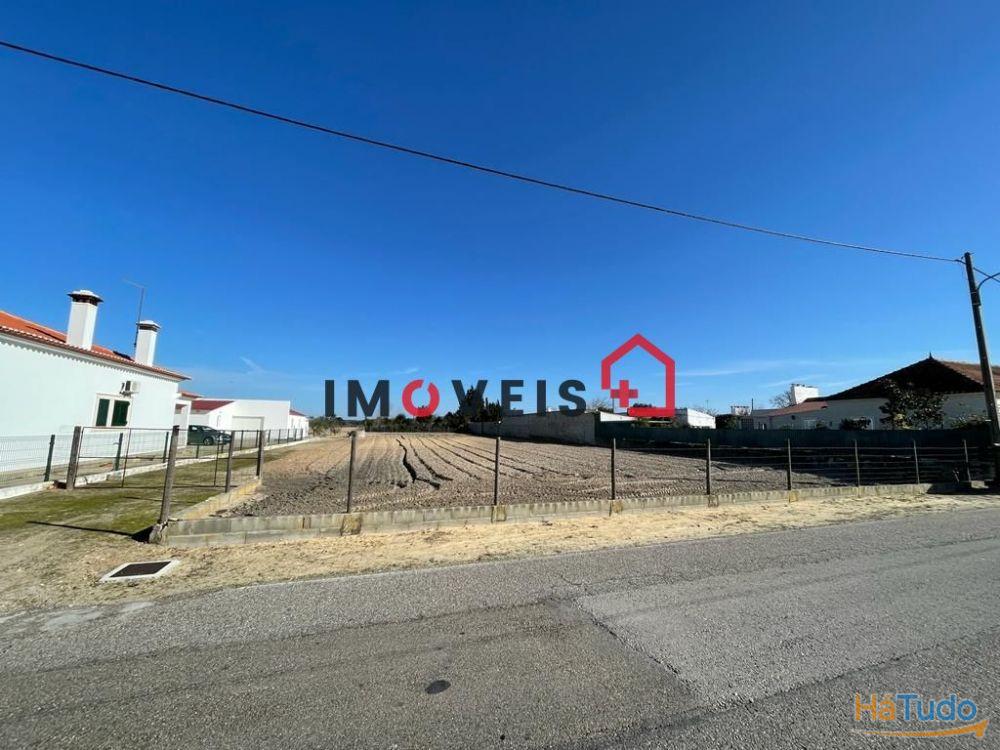 Lote de terreno em Foros do Benfica do Ribatejo com 1332.50m2 Lote de terreno em Foros do Benfica do Ribatejo com 1332.50m2