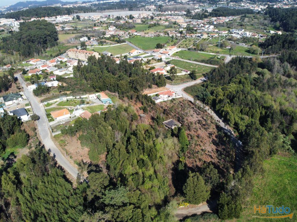 Terreno Urbanizável em Grijó Terreno Urbanizável em Grijó