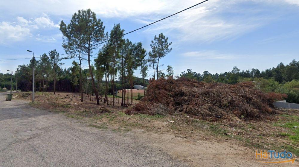 Terreno Urbanizável em Grijó Terreno Urbanizável em Grijó