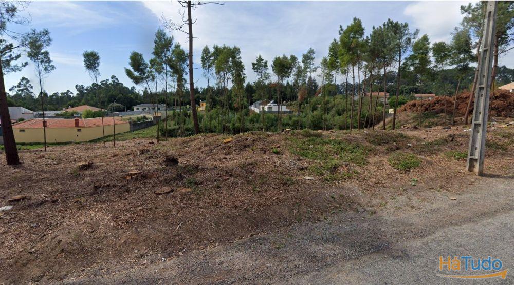 Terreno Urbanizável em Grijó Terreno Urbanizável em Grijó
