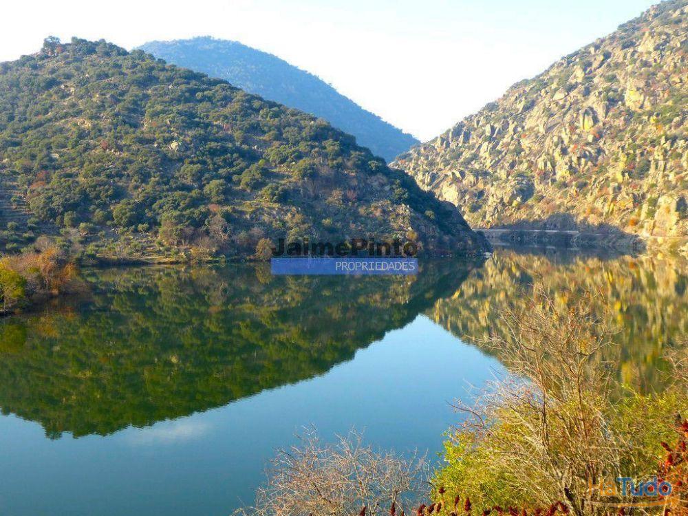 Ecoturismo, terreno, projeto, no Douro Superior. Portugal, S. João da Pesqueira Ecoturismo, terreno, projeto, no Douro Superior. Portugal, S. João da Pesqueira