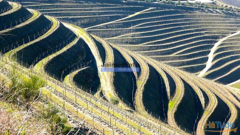 Ecoturismo, terreno, projeto, no Douro Superior. Portugal, S. João da Pesqueira Ecoturismo, terreno, projeto, no Douro Superior. Portugal, S. João da Pesqueira