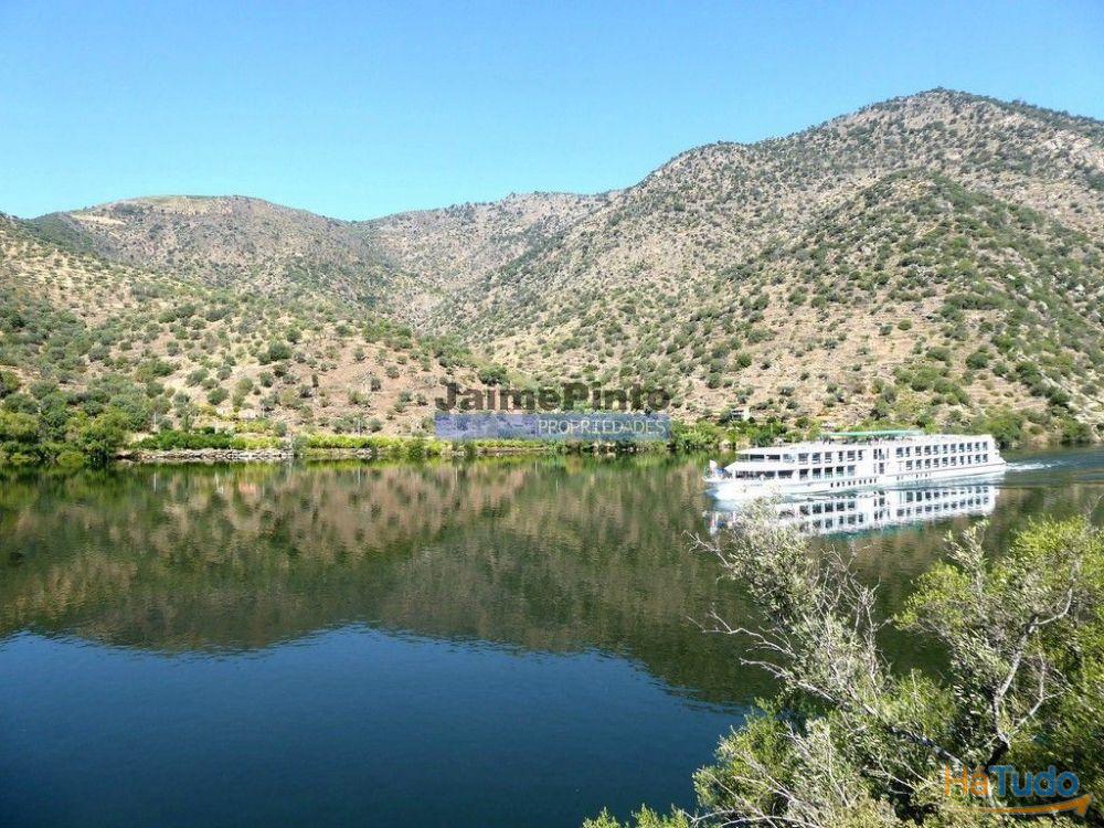 Ecoturismo, terreno, projeto, no Douro Superior. Portugal, S. João da Pesqueira Ecoturismo, terreno, projeto, no Douro Superior. Portugal, S. João da Pesqueira