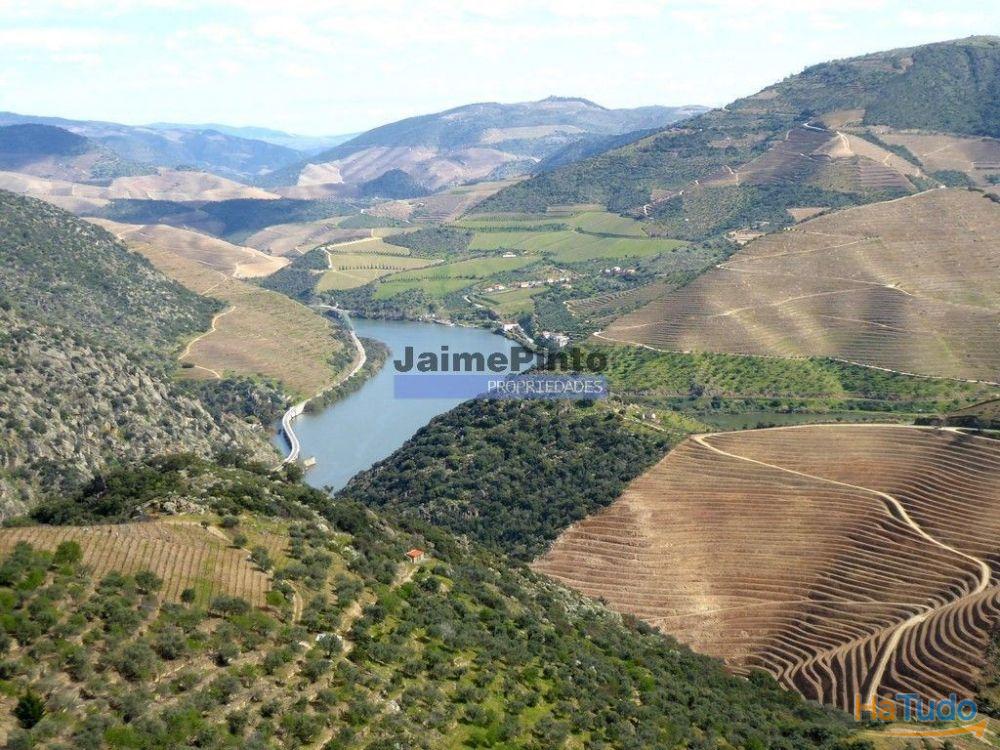 Ecoturismo, terreno, projeto, no Douro Superior. Portugal, S. João da Pesqueira Ecoturismo, terreno, projeto, no Douro Superior. Portugal, S. João da Pesqueira