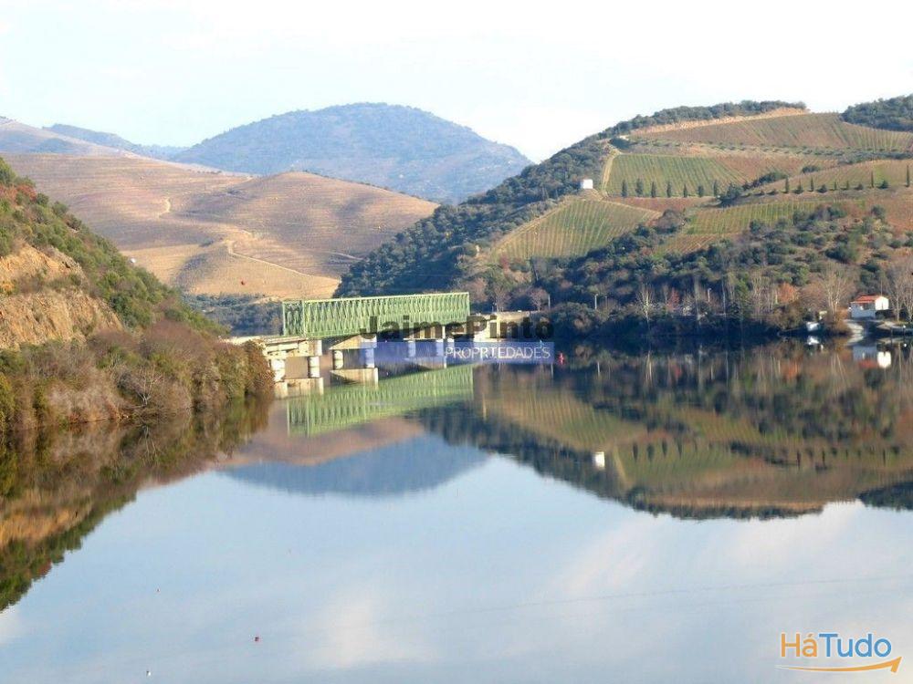 Ecoturismo, terreno, projeto, no Douro Superior. Portugal, S. João da Pesqueira Ecoturismo, terreno, projeto, no Douro Superior. Portugal, S. João da Pesqueira