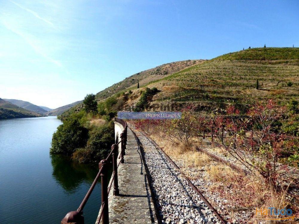 Ecoturismo, terreno, projeto, no Douro Superior. Portugal, S. João da Pesqueira Ecoturismo, terreno, projeto, no Douro Superior. Portugal, S. João da Pesqueira