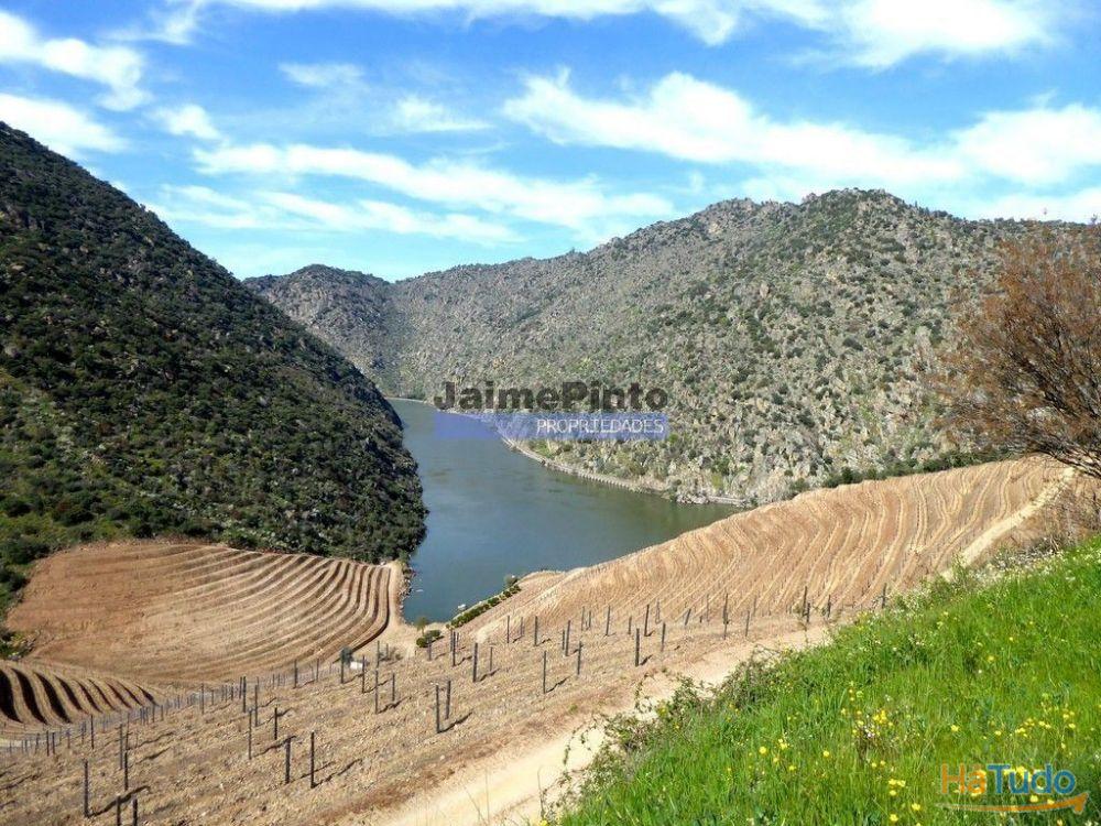 Ecoturismo, terreno, projeto, no Douro Superior. Portugal, S. João da Pesqueira Ecoturismo, terreno, projeto, no Douro Superior. Portugal, S. João da Pesqueira
