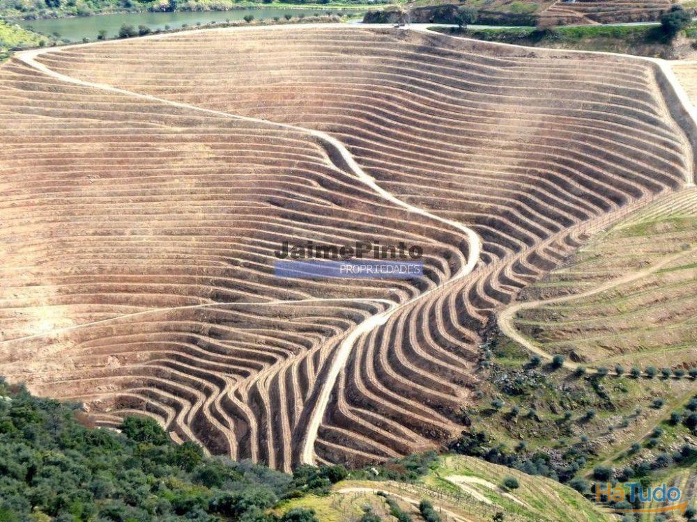 Ecoturismo, terreno, projeto, no Douro Superior. Portugal, S. João da Pesqueira Ecoturismo, terreno, projeto, no Douro Superior. Portugal, S. João da Pesqueira