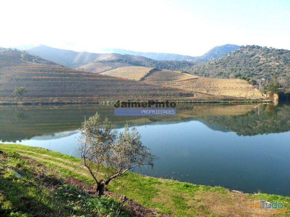 Ecoturismo, terreno, projeto, no Douro Superior. Portugal, S. João da Pesqueira Ecoturismo, terreno, projeto, no Douro Superior. Portugal, S. João da Pesqueira