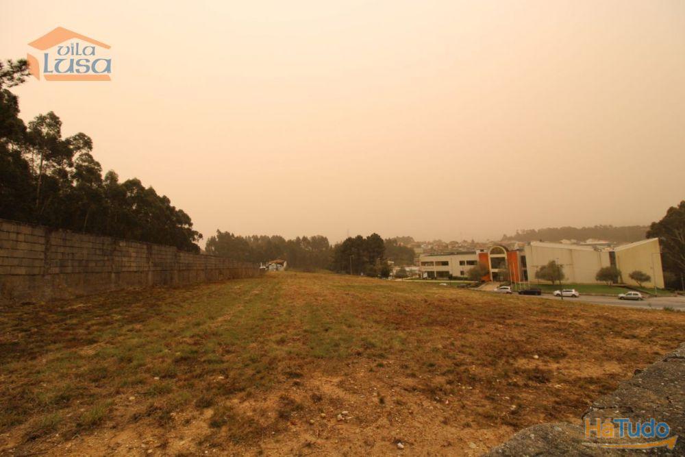 Terreno Olival com 11280 m2 Face a En 222 com 124 metros de Frente Terreno Olival com 11280 m2 Face a En 222 com 124 metros de Frente