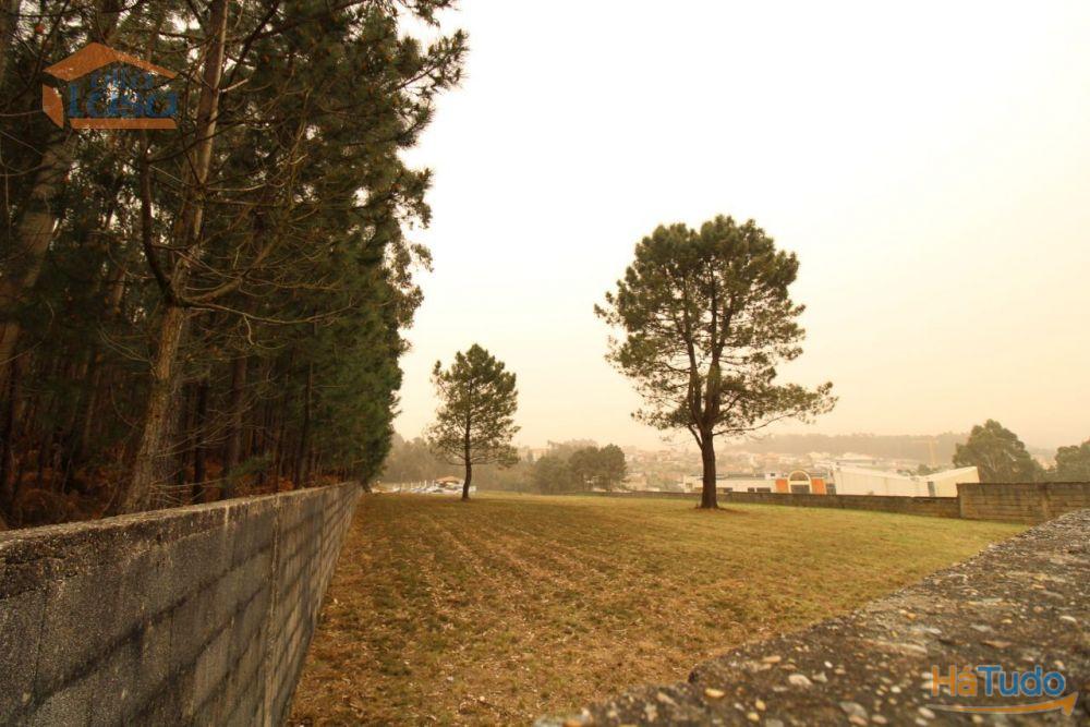 Terreno Olival com 11280 m2 Face a En 222 com 124 metros de Frente Terreno Olival com 11280 m2 Face a En 222 com 124 metros de Frente