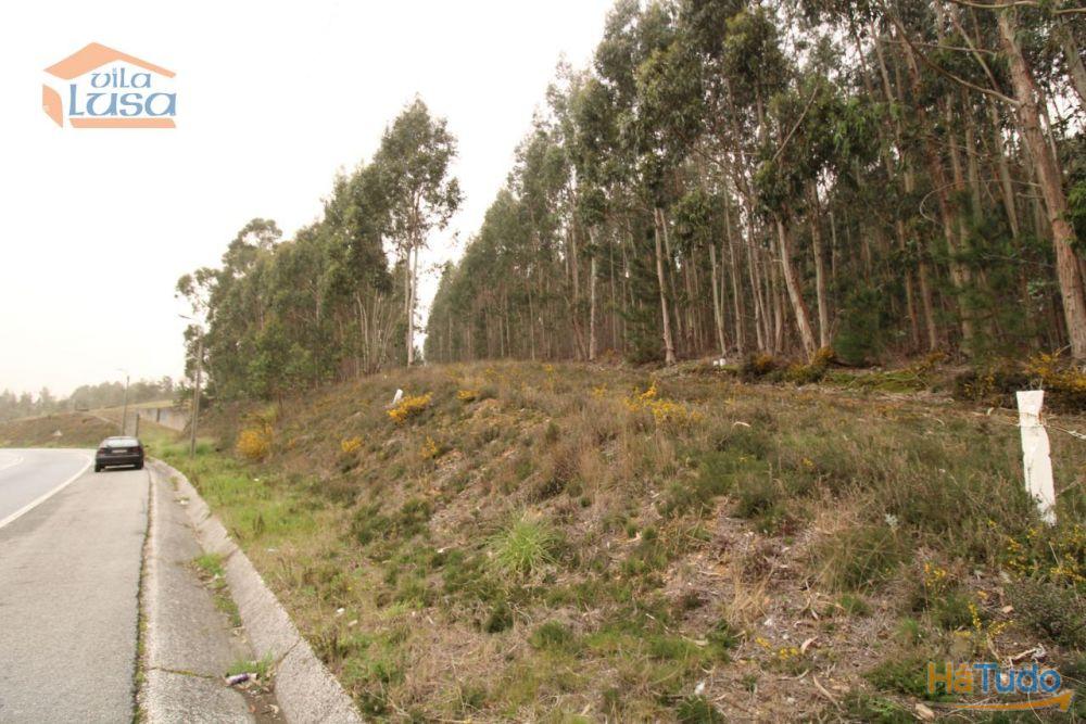 Terreno Olival com 11280 m2 Face a En 222 com 124 metros de Frente Terreno Olival com 11280 m2 Face a En 222 com 124 metros de Frente