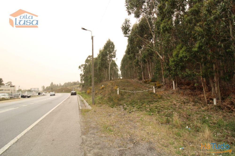 Terreno Olival com 11280 m2 Face a En 222 com 124 metros de Frente Terreno Olival com 11280 m2 Face a En 222 com 124 metros de Frente